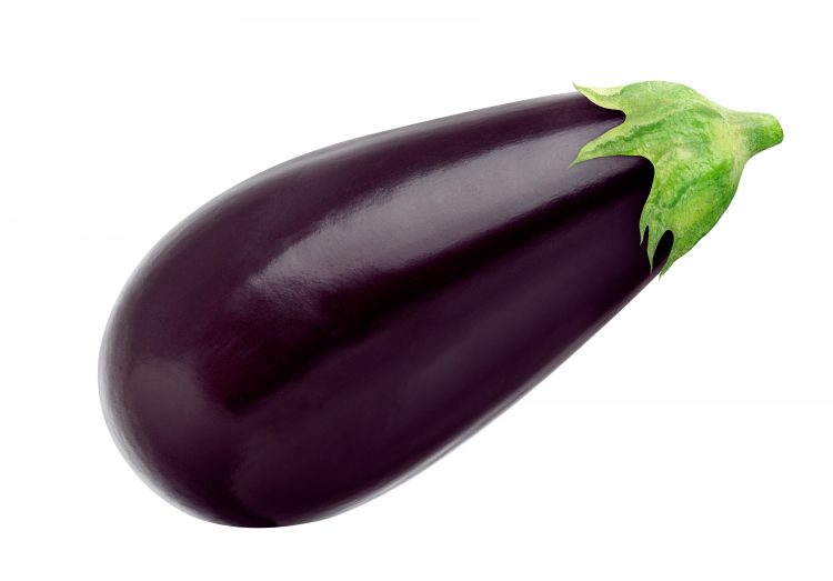 One fresh eggplant isolated on white background, with clipping path