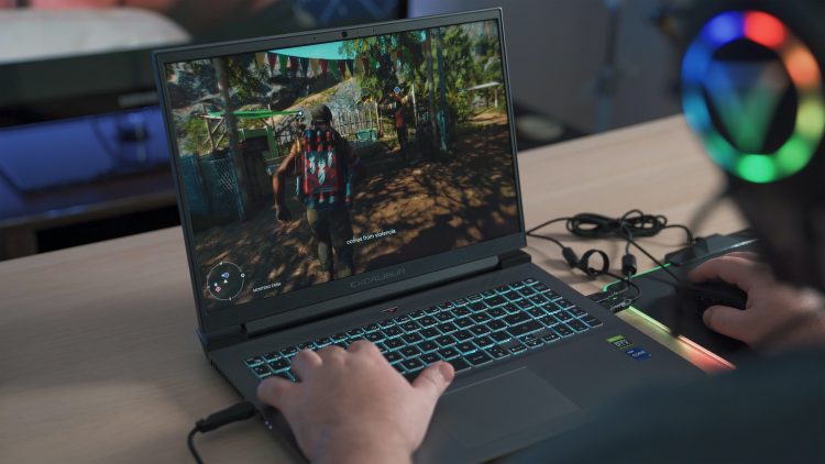 en computer hvor en person spiller et online overlevelsesspil